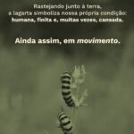 A Lagarta-03